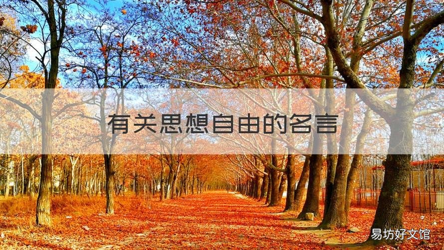 有关思想自由的名言 关于思想自由的名言