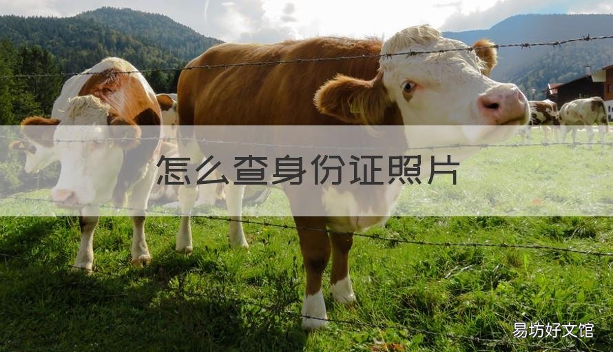 怎么查身份证照片 微信里面怎么查身份证照片