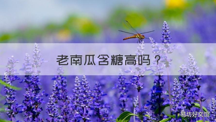 老南瓜含糖高吗 老南瓜含糖吗?