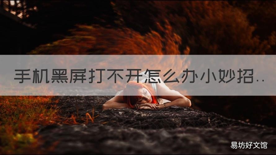 手机黑屏打不开怎么办小妙招 手机一黑屏就打不开怎么办
