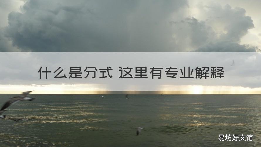 什么是分式 这里有专业解释 分式的基本定义是什么