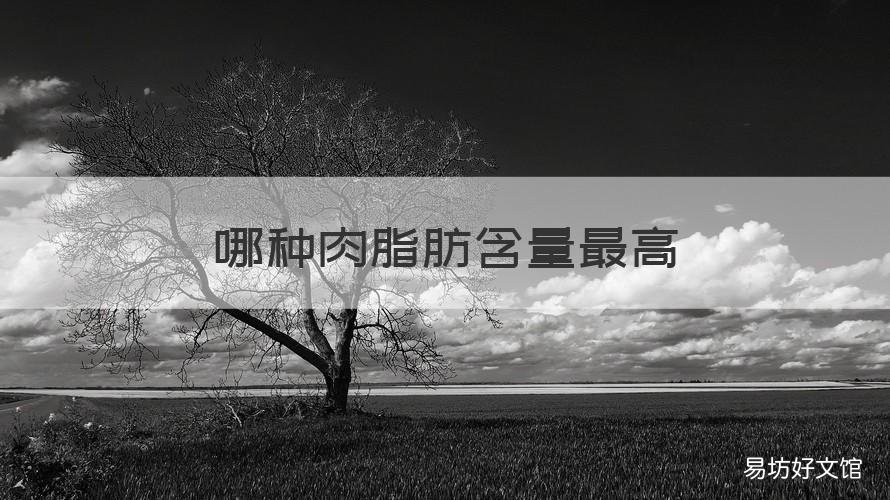 哪种肉脂肪含量最高 那些肉脂肪含量高