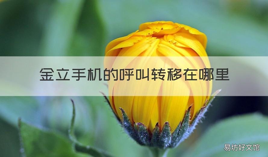 金立手机的呼叫转移在哪里 金立手机怎么呼叫转移设置方法