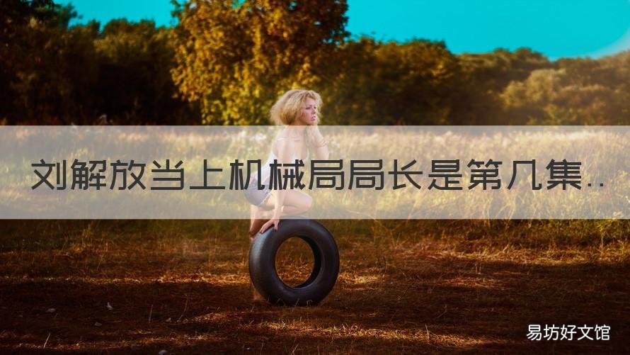 刘解放当上机械局局长是第几集 刘参谋长转业机械局