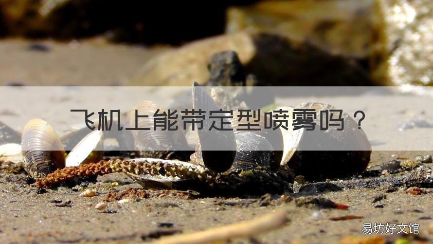 飞机上能带定型喷雾吗 飞机可以带定型喷雾吗