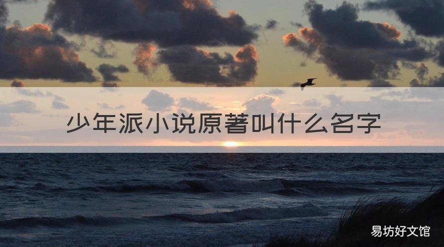 少年派小说原著叫什么名字 少年派小说原著作者是谁