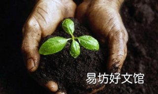 有机物和无机物的区别有哪些 食物有机物和无机物的区别