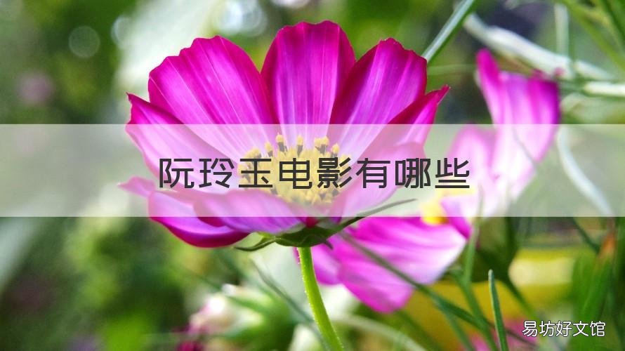 阮玲玉电影有哪些 《阮玲玉》电影