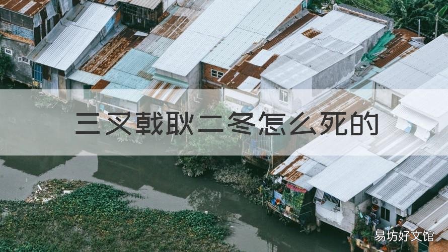 三叉戟耿二冬怎么死的 三叉戟耿二冬到底有什么