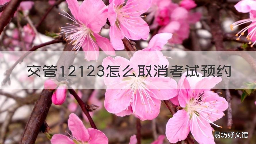 交管12123怎么取消考试预约 交管12123怎么取消考试预约科三