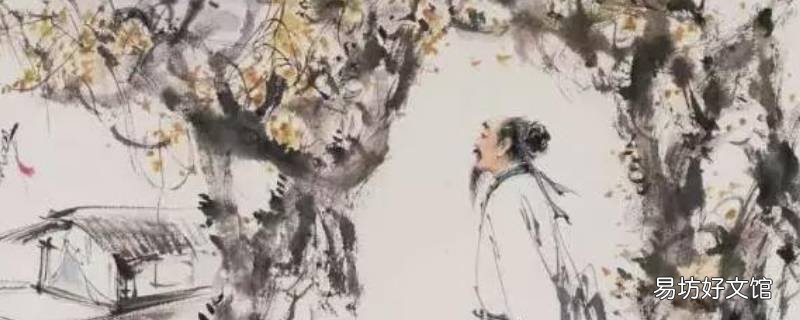 曾经沧海难为水 曾经沧海难为水是哪个朝代谁的作品