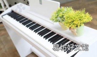 电钢琴和钢琴的区别是什么 电钢琴和钢琴有什么区别?