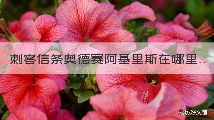 刺客信条奥德赛阿基里斯在哪里 刺客信条奥德赛阿萨埃斯在哪里