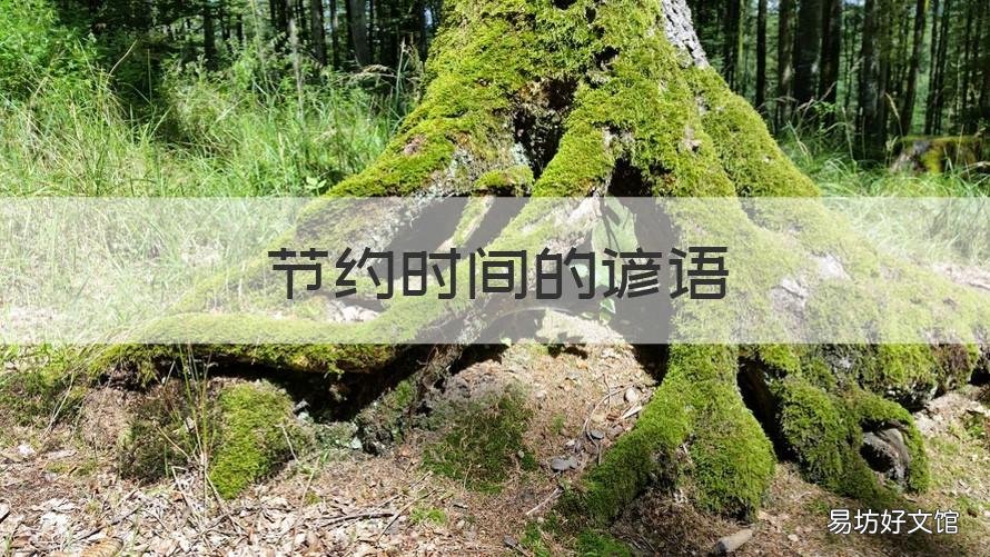 节约时间的谚语 关于节省时间的谚语