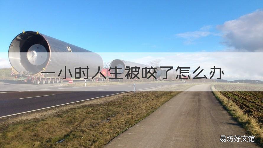一小时人生被咬了怎么办 被咬了一整晚