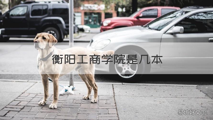 衡阳工商学院是几本 衡阳工商职业学院有哪些专业
