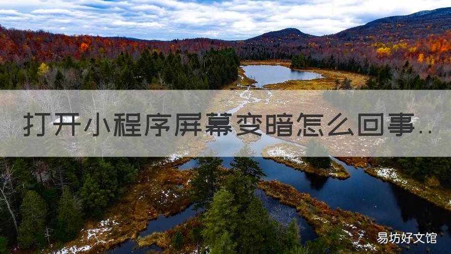 打开小程序屏幕变暗怎么回事 微信小程序打开屏幕变暗