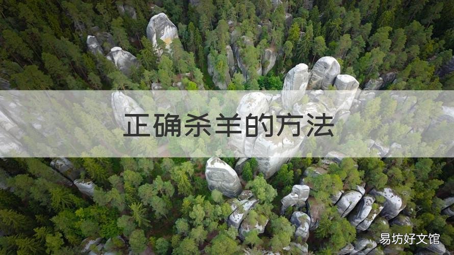 正确杀羊的方法 最简单的杀羊方法