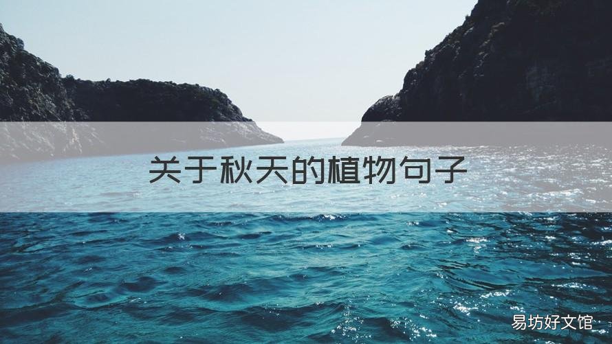 关于秋天的植物句子 秋天的植物表达浓浓的秋意的短句