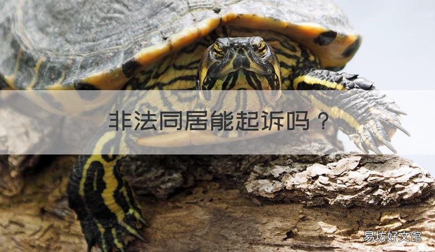 非法同居能起诉吗 非法同居法院怎么判