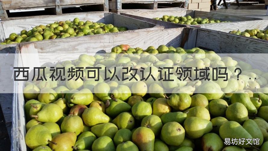 西瓜视频可以改认证领域吗 西瓜视频认证怎么注销