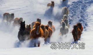 中国数字文创设计大赛—一马当先篇 中国数字文创设计大赛官网