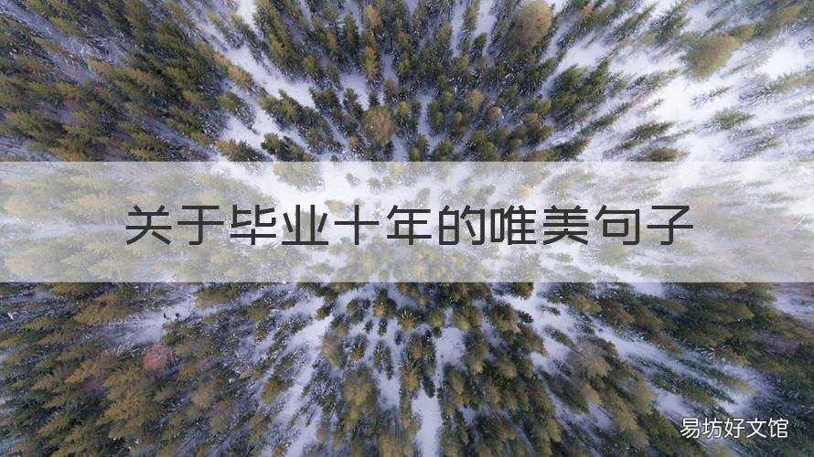 关于毕业十年的唯美句子 毕业十年相聚唯美语录