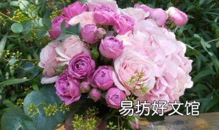 香槟玫瑰如何插在花瓶 玫瑰怎么插在花瓶里
