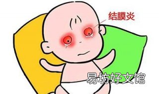 结膜炎怎么办 小狗结膜炎怎么办