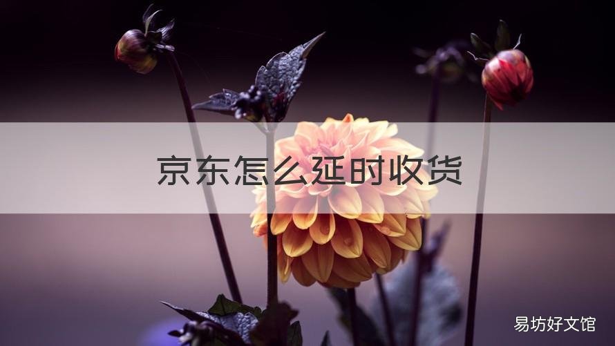 京东怎么延时收货 京东延时收货是什么意思