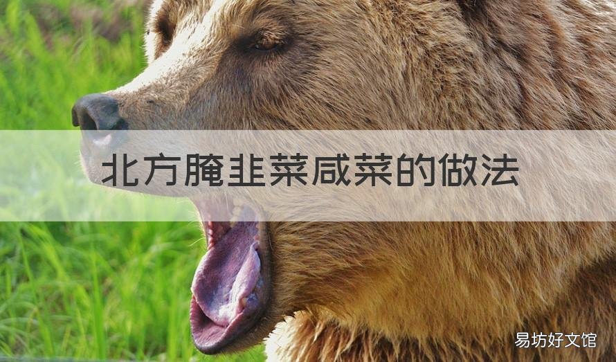 北方腌韭菜咸菜的做法 北方咸菜的腌制方法
