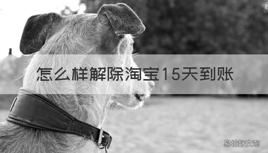 怎么样解除淘宝15天到账 怎样解除支付宝15天到账