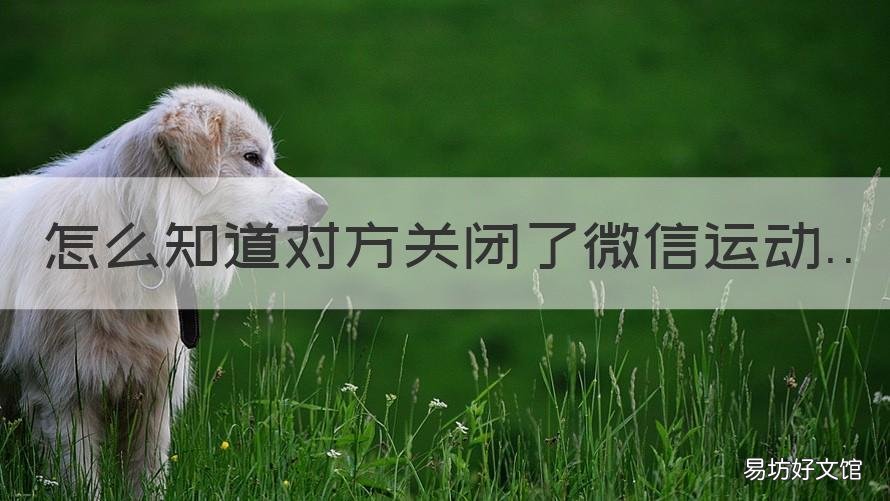 怎么知道对方关闭了微信运动 怎么知道对方关闭了微信运动还是被设置了朋友圈权限