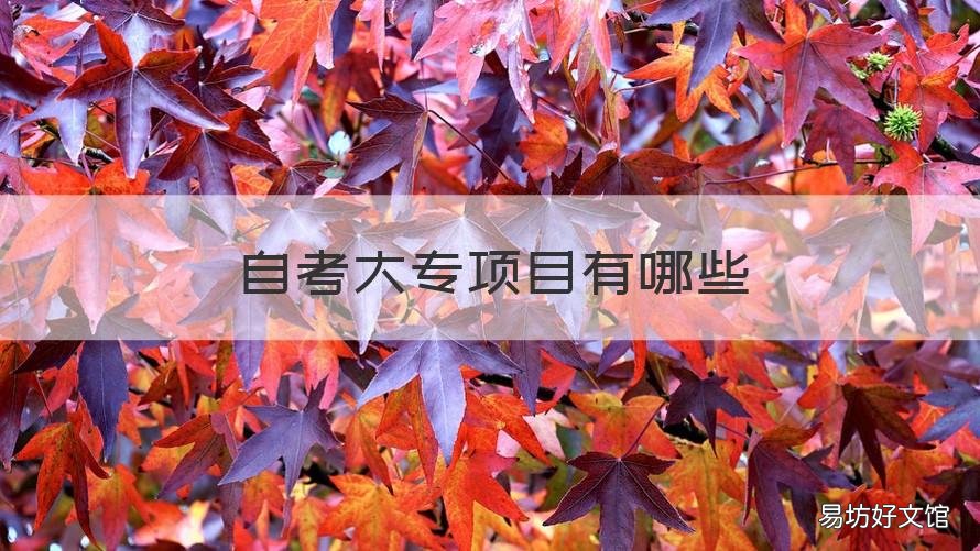 自考大专项目有哪些 自考专科项目