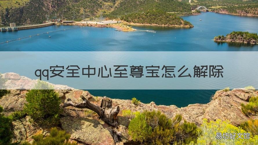 qq安全中心至尊宝怎么解除 qq安全中心至尊宝可以解除吗?