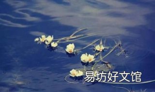 图虫怎么认证 图虫如何认证