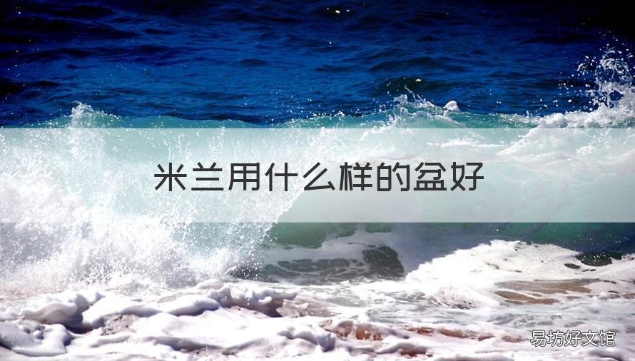 米兰用什么样的盆好 米兰用什么样的盆好看