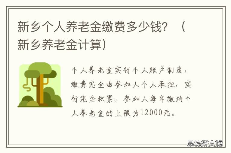 新乡个人养老金缴费多少钱? 新乡市个人社保缴费多少钱