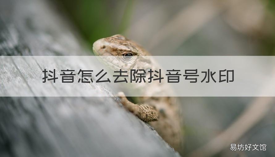 抖音怎么去除抖音号水印 抖音怎么去除抖音号水印功能