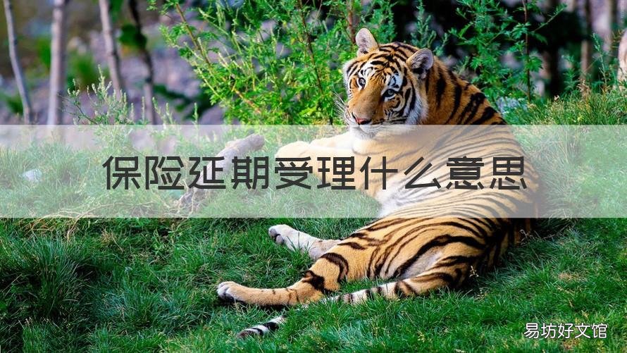 保险延期受理什么意思 保险延期受理什么意思呀