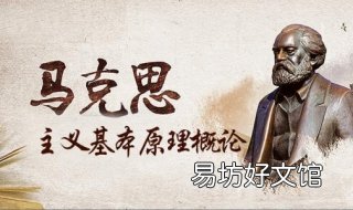 学习马克思主义原理概论心得体会