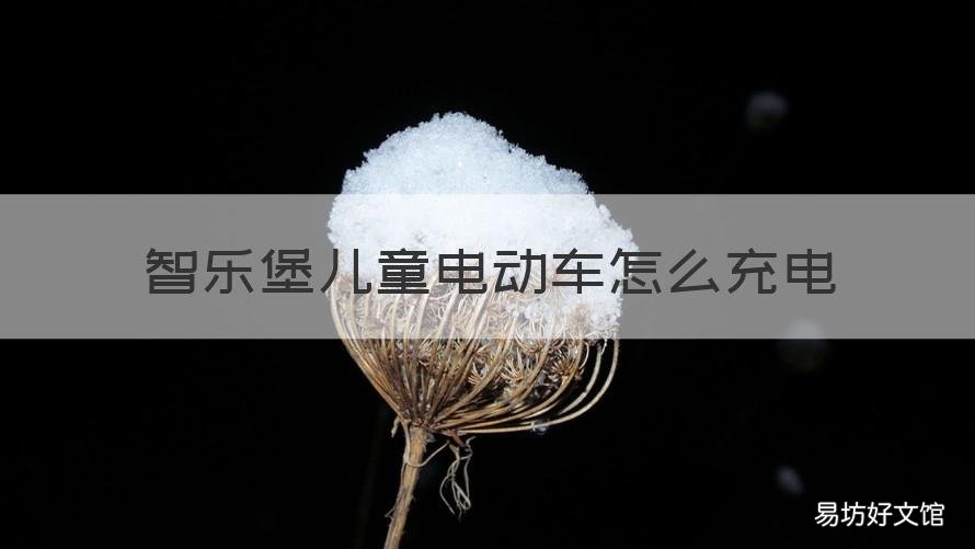 智乐堡儿童电动车怎么充电 聪电堡电动车充电