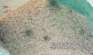 大米发霉怎么办 发霉的大米如何处理