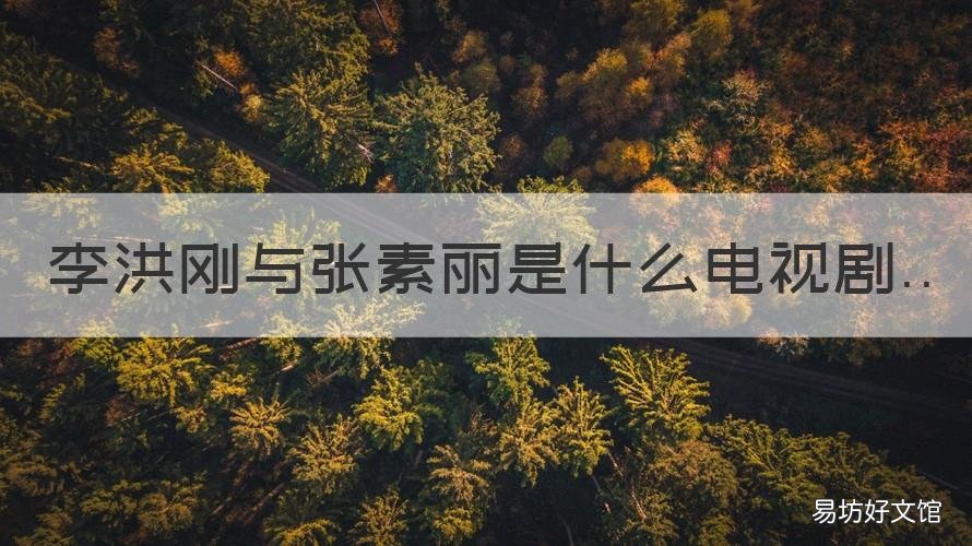 李洪刚与张素丽是什么电视剧 洪艳是哪部电视剧里