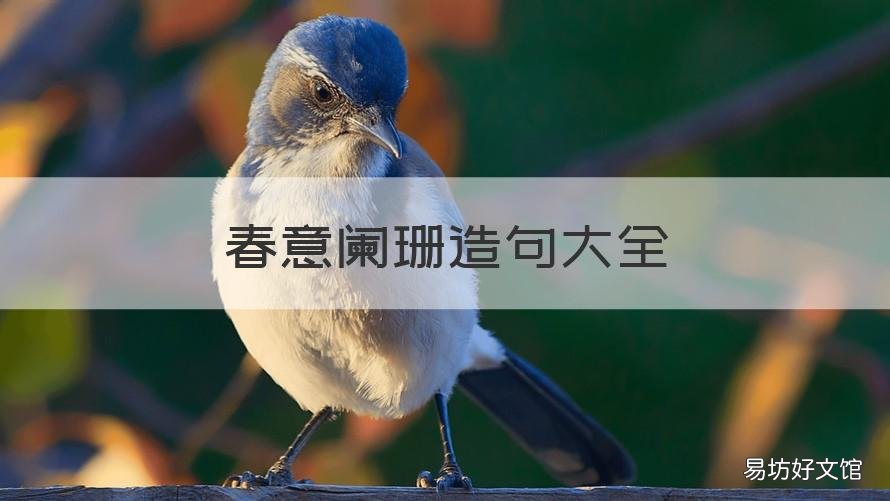春意阑珊造句大全 春意阑珊造句子