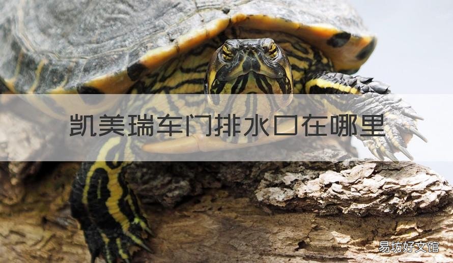 凯美瑞车门排水口在哪里 凯美瑞车门放水阀在哪里