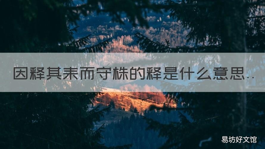 因释其耒而守株的释是什么意思 因释其耒而守株的释是什么意思古义今义