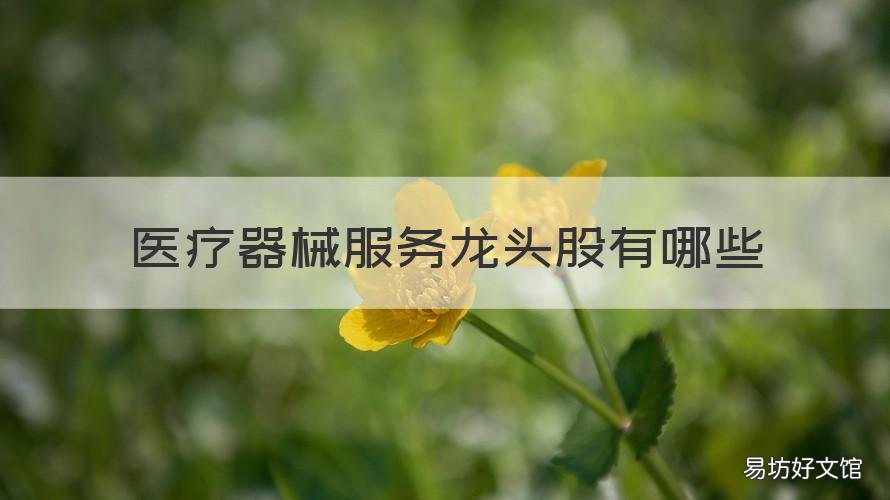医疗器械服务龙头股有哪些 医疗器械服务龙头股有哪些股票