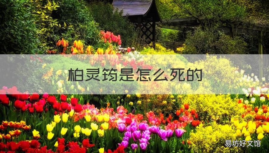 柏灵筠是怎么死的 柏灵筠是被谁烧死的