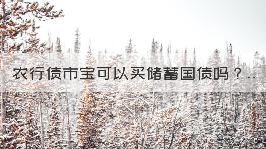 农行债市宝可以买储蓄国债吗 农行手机银行可以买储蓄国债吗